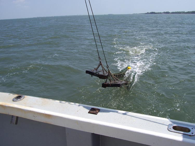 otter trawl